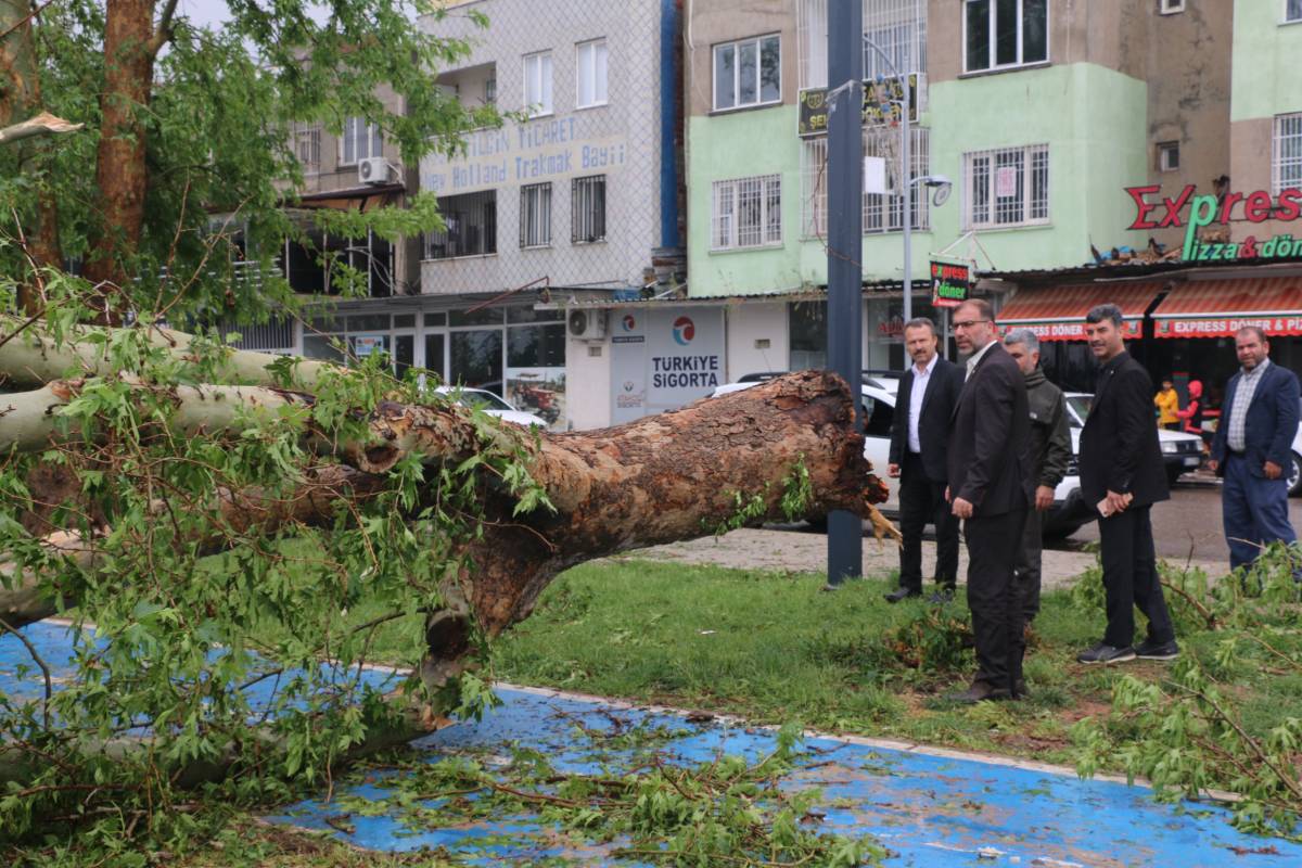Polat afet bölgelerinde incelemelerde bulundu!