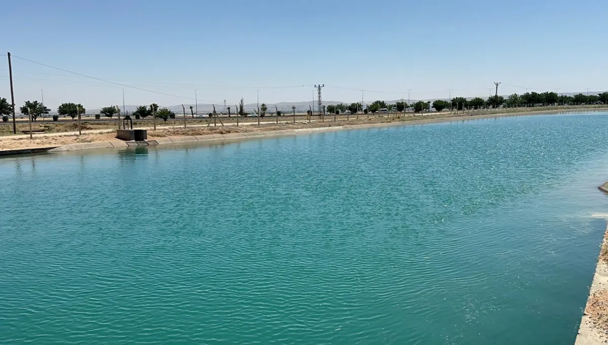 Urfa'da ceset ihbarı ekipleri harekete geçirdi!