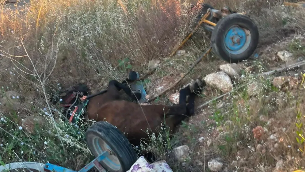 Şanlıurfa'da minibüs at arabasına çarptı: 1 ölü 1 ağır yaralı!