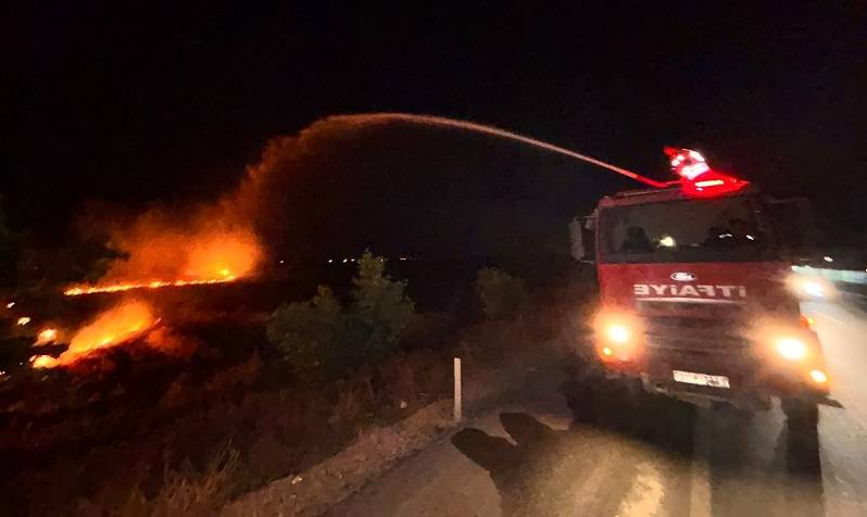 Anız yangını zeytinliğe sıçradı