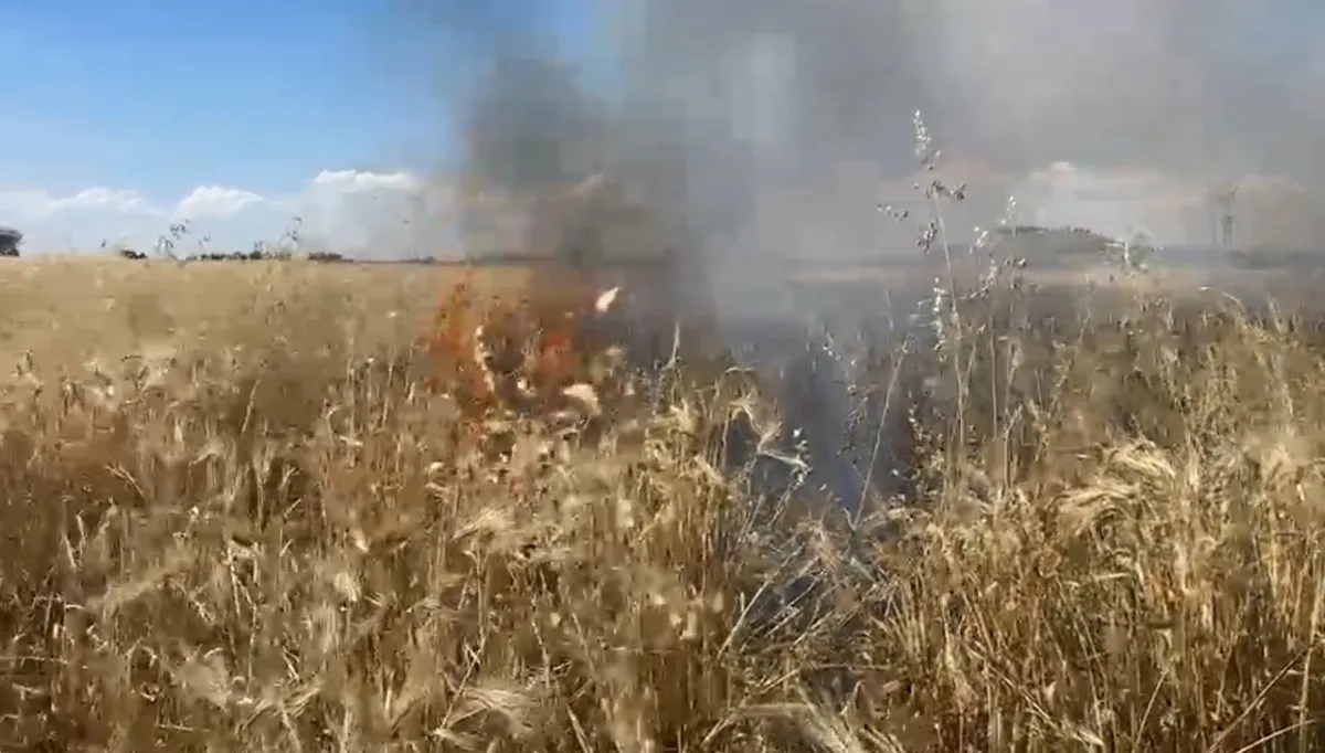 Urfa'da arpa ekili tarla kül oldu!