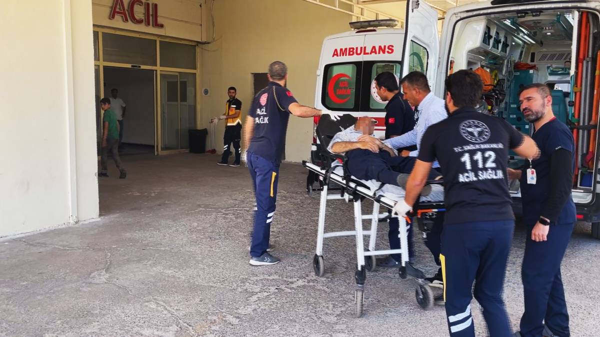 Urfa'da 6 tarım işçsi hastanelik oldu!