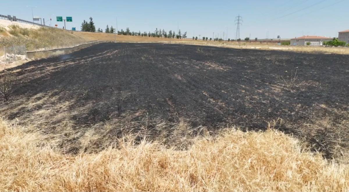 Şanlıurfa'da arpa ekili arazide çıkan yangında 30 dönüm alan zarar gördü