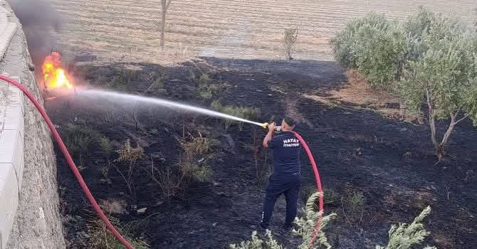 Kırıkhan'da zeytinlik alan yangını