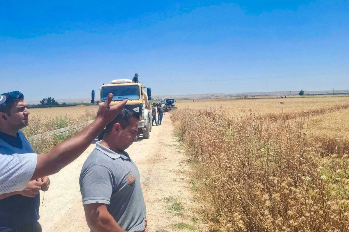 Urfa'da buğday tarlasında yangın!