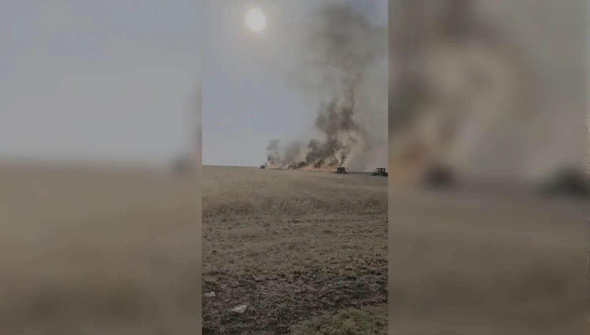 Urfa'da 60 dönümlük ekili alan alevlere teslim oldu!