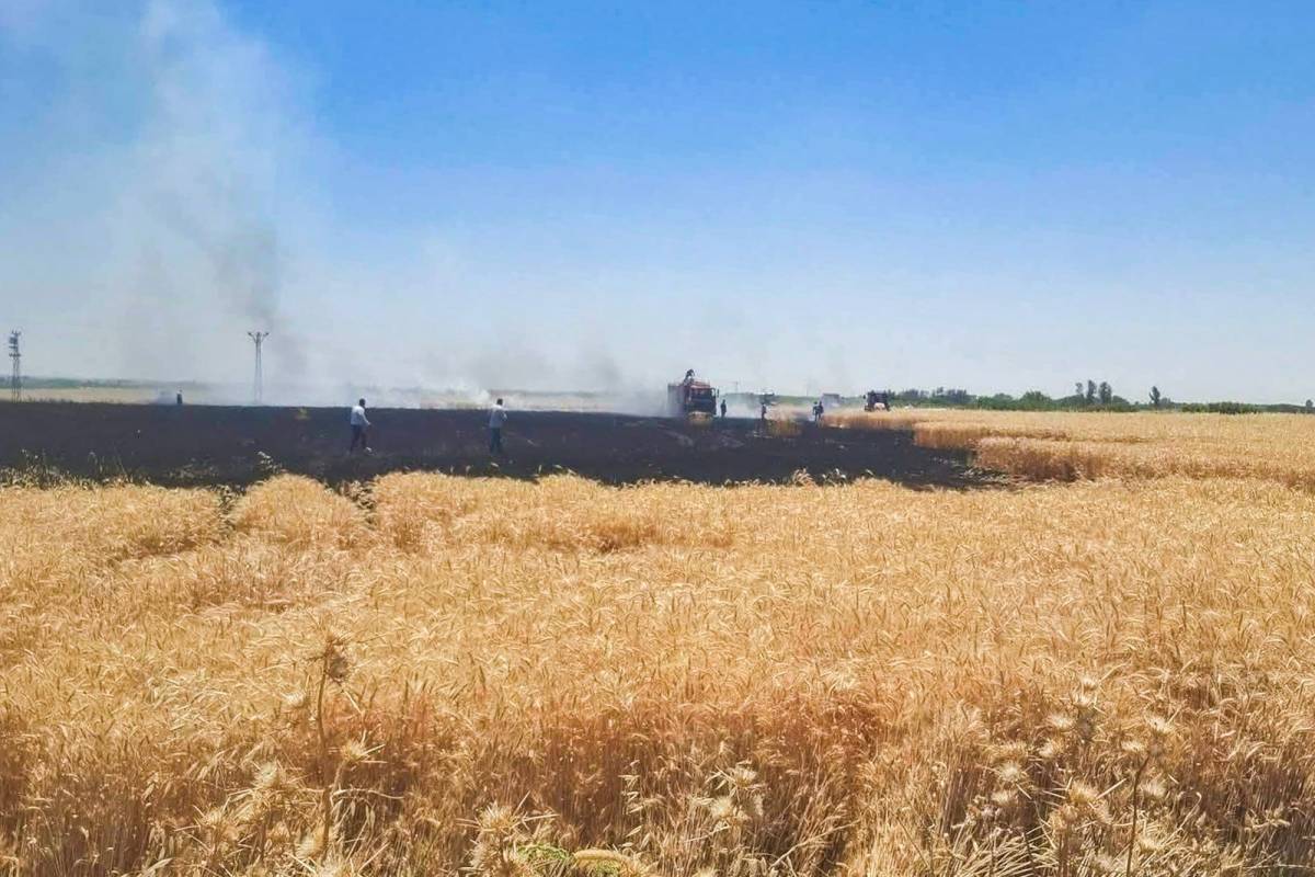 Urfa'da buğday tarlasında yangın!