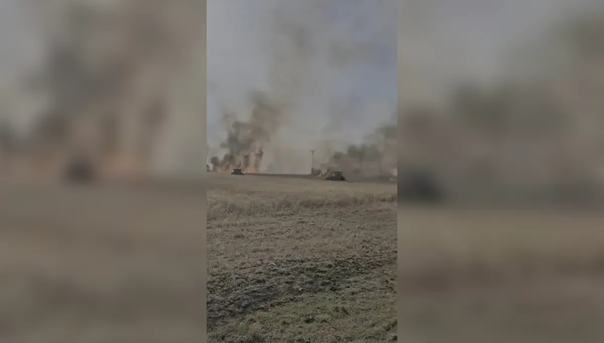 Urfa'da 60 dönümlük ekili alan alevlere teslim oldu!