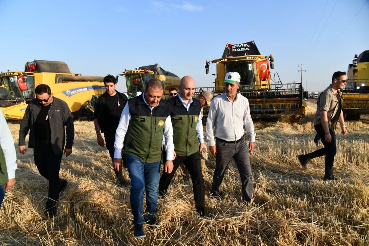Vali Şıldak’ın katılımıyla TİGEM’de hasat başladı!