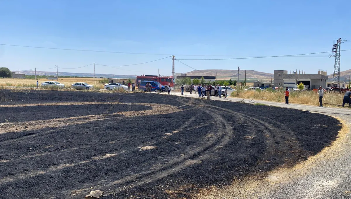 Urfa'da bir yangın daha: 300 dönüm tarla zarar gördü!