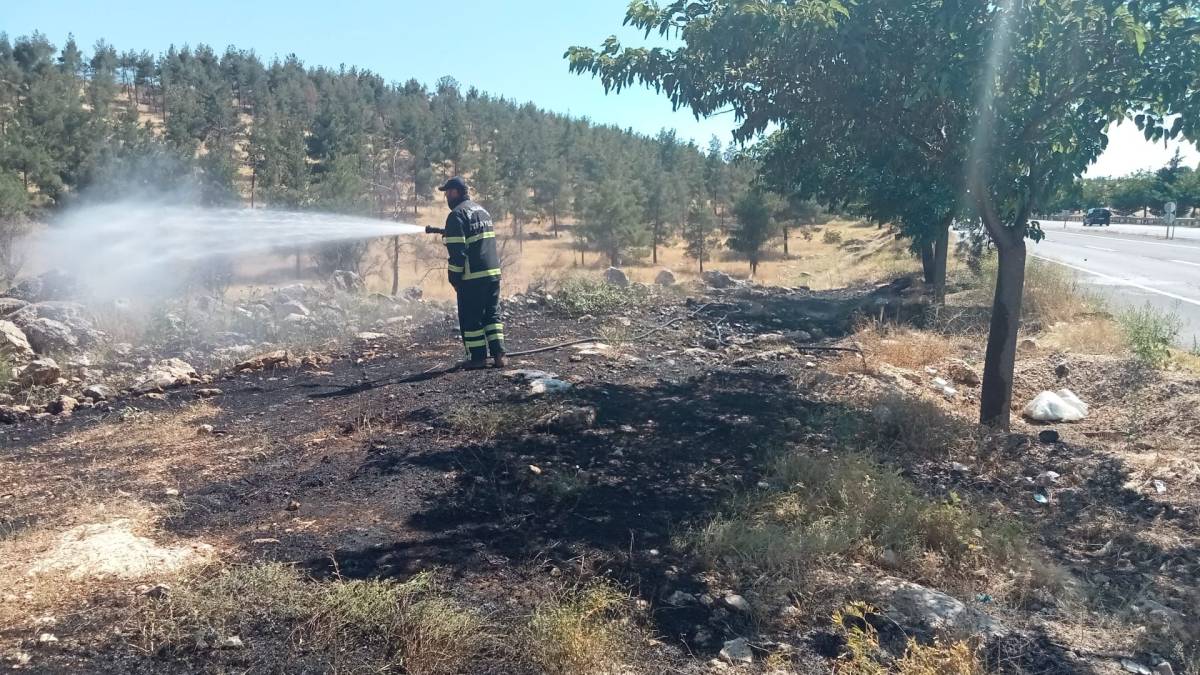 Şanlıurfa'da korkutan orman yangını!