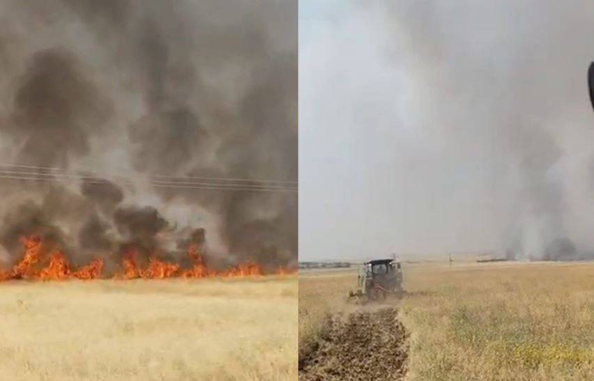 Urfa'da 45 dönümlük arazi küle döndü!