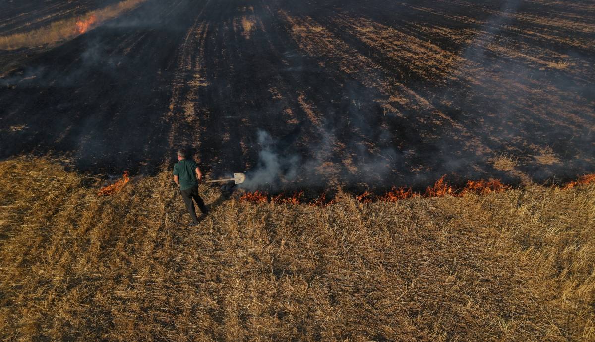 Bir izmarit kuru otların olduğu bölgede yangına neden oldu!