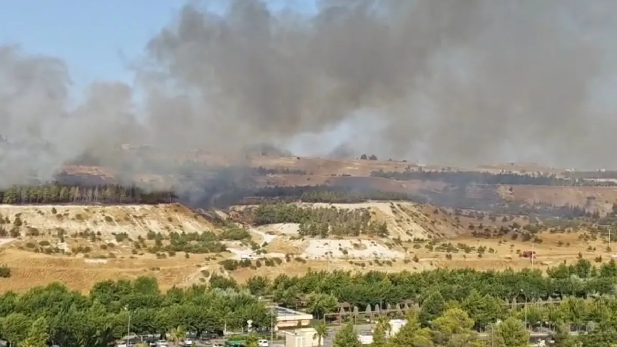 Urfa'da ormanlık alanda korkutan yangın