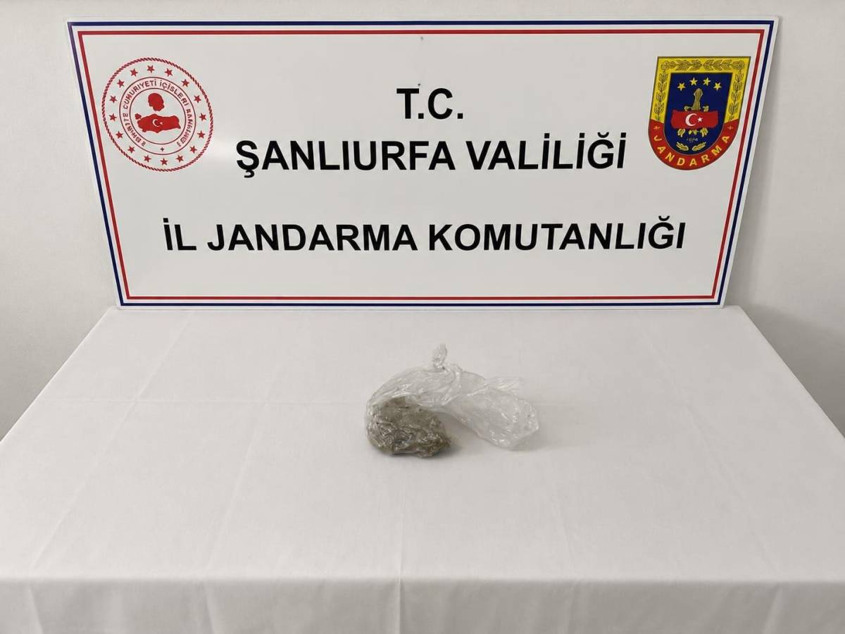 Birecik ve Suruç'ta jandarma denetimi! Çok sayıda şahsa işlem yapıldı!