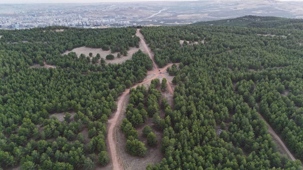 Şanlıurfa'da tabiat parkı için harekete geçildi!