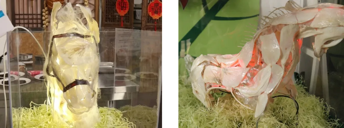 Görsel