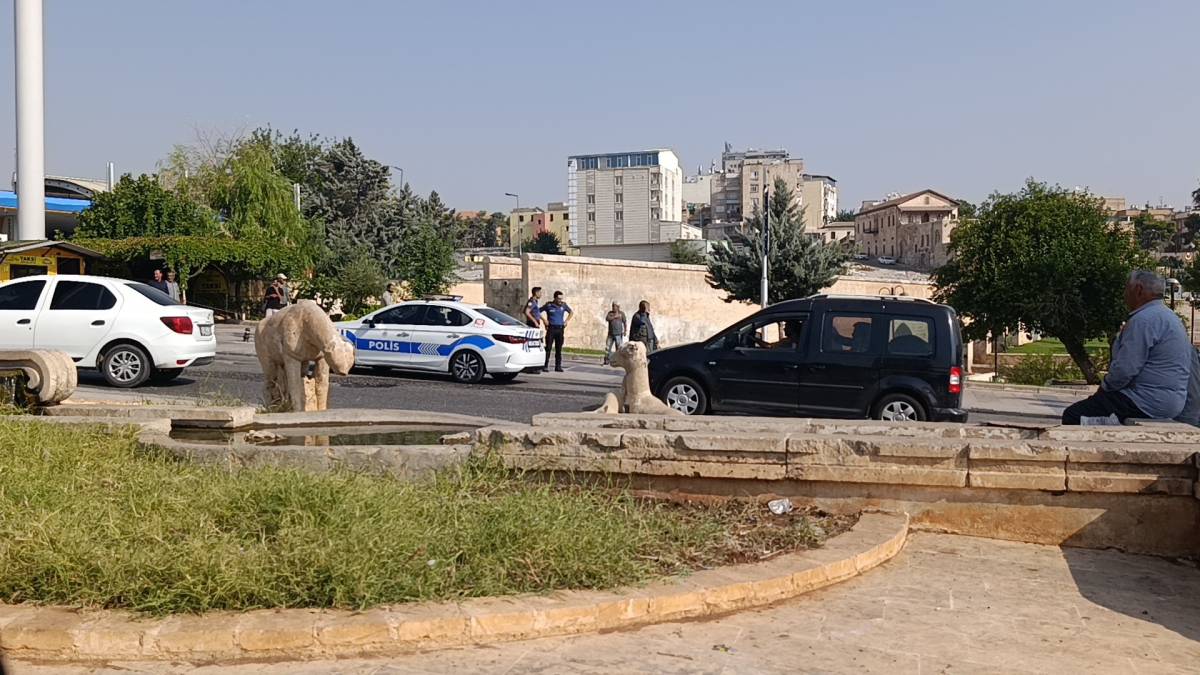 Şanlıurfa'da polis aracına saldırı!