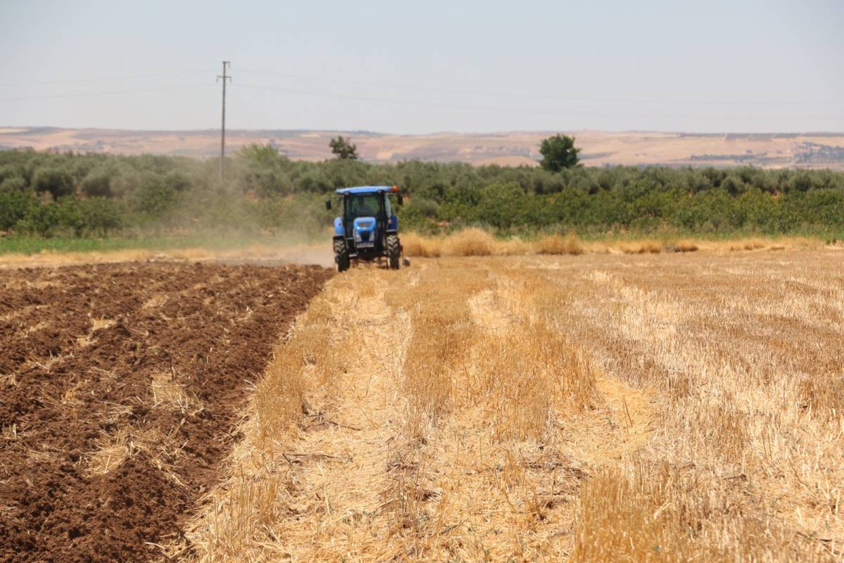 Fidan Suruç'tan seslendi: Çiftçi desteklensin ki üretim devam etsin!