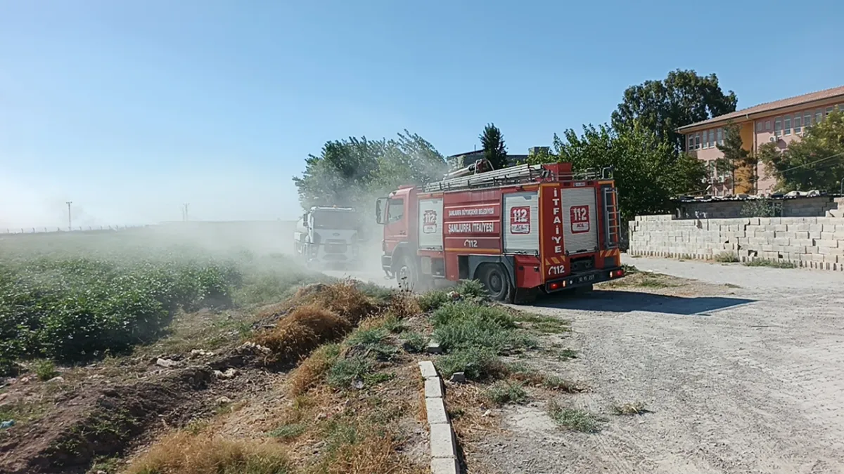 Urfa'da sınır hattındaki mayınlı alanda yangın endişe yarattı!
