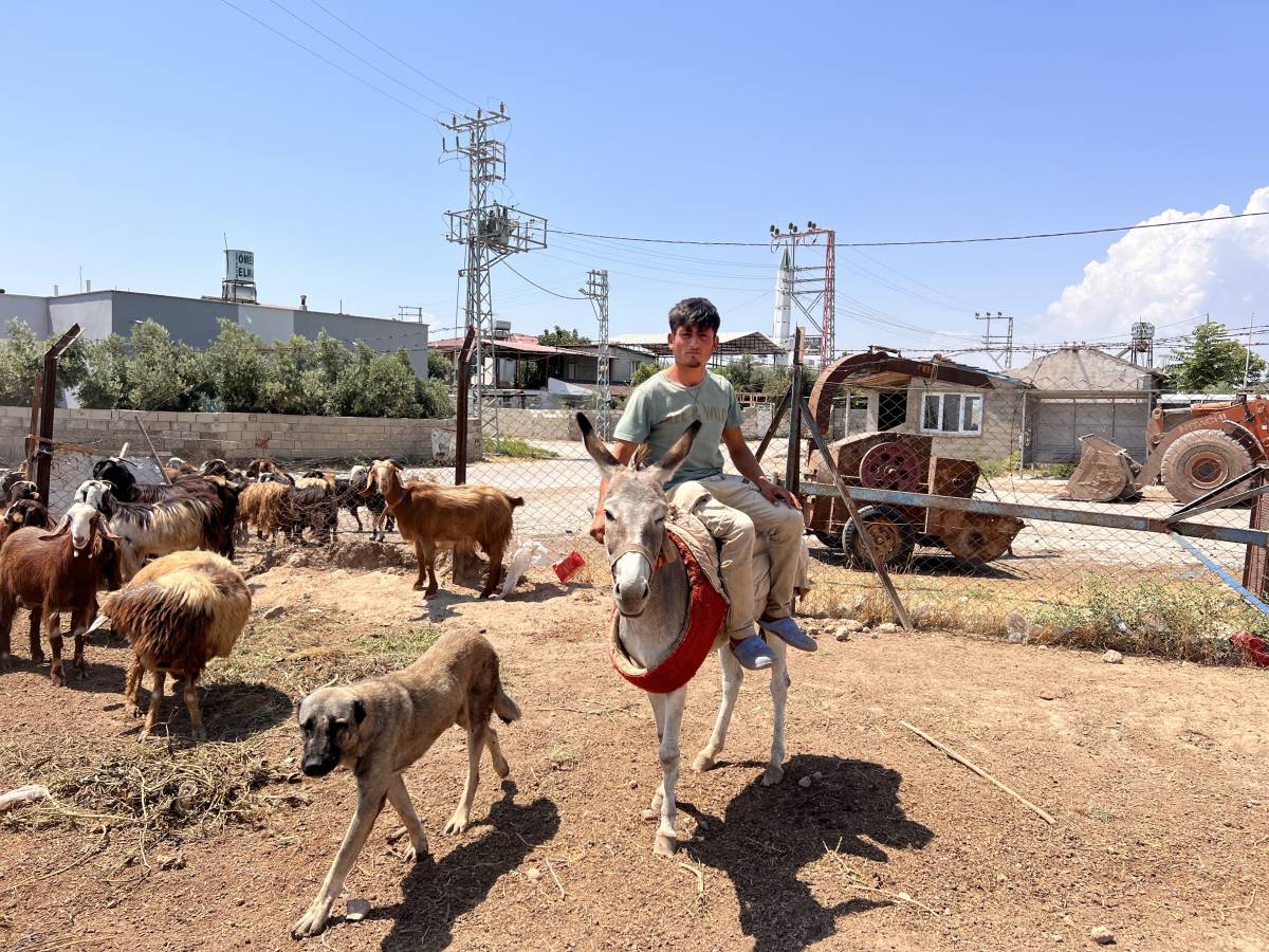 Urfa'da başlayan hikaye Hatay'da aileye dönüştü!