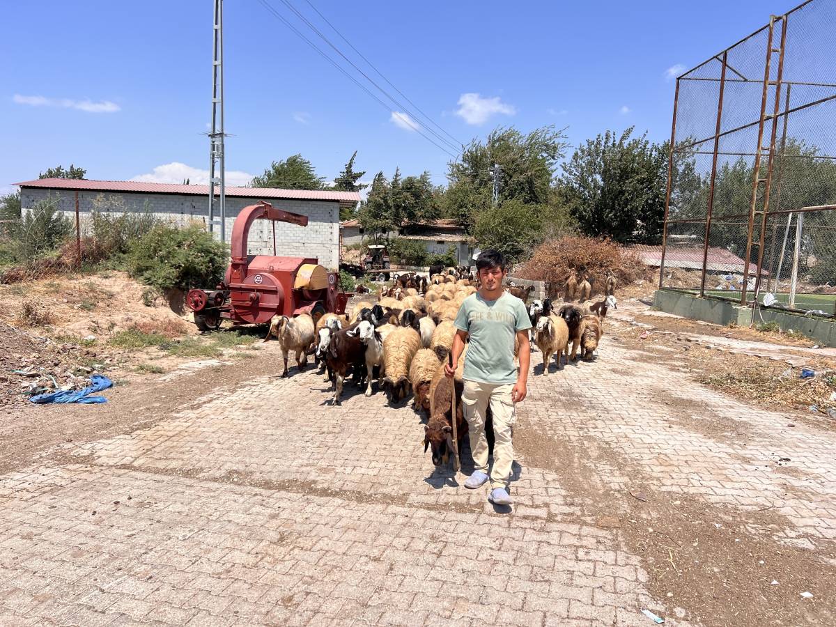Urfa'da başlayan hikaye Hatay'da aileye dönüştü!