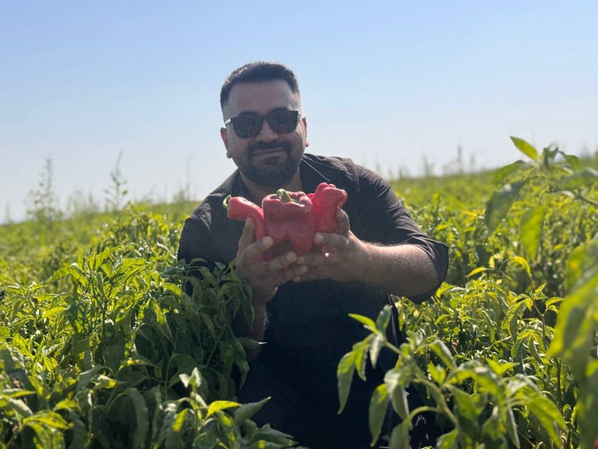 Tarlalardan sofralara acı yolculuk başladı!