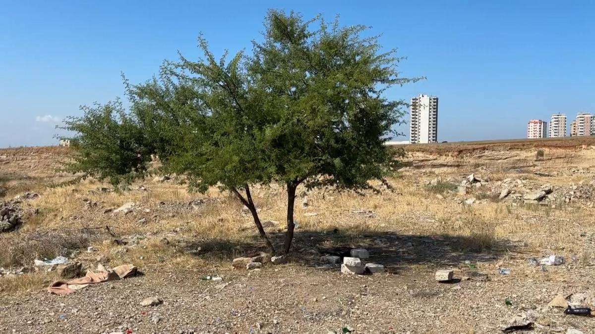 Boş arazide ölü bulundu!