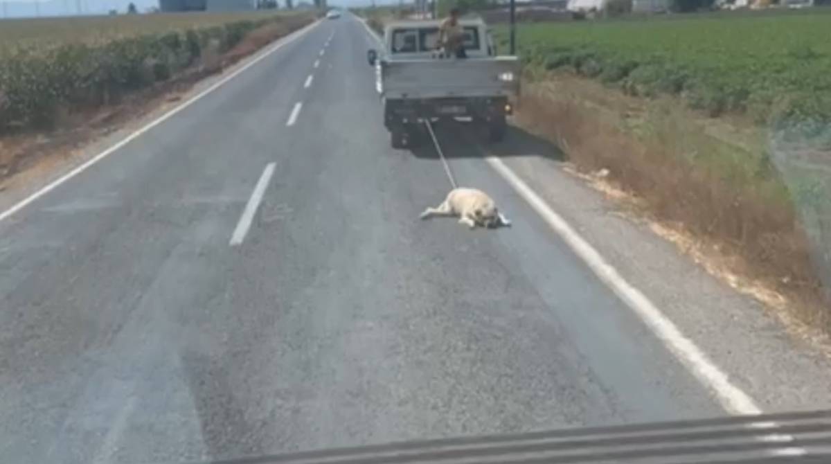 Urfa'da dehşet olay: Ayağından sürüklenerek götürüldü!
