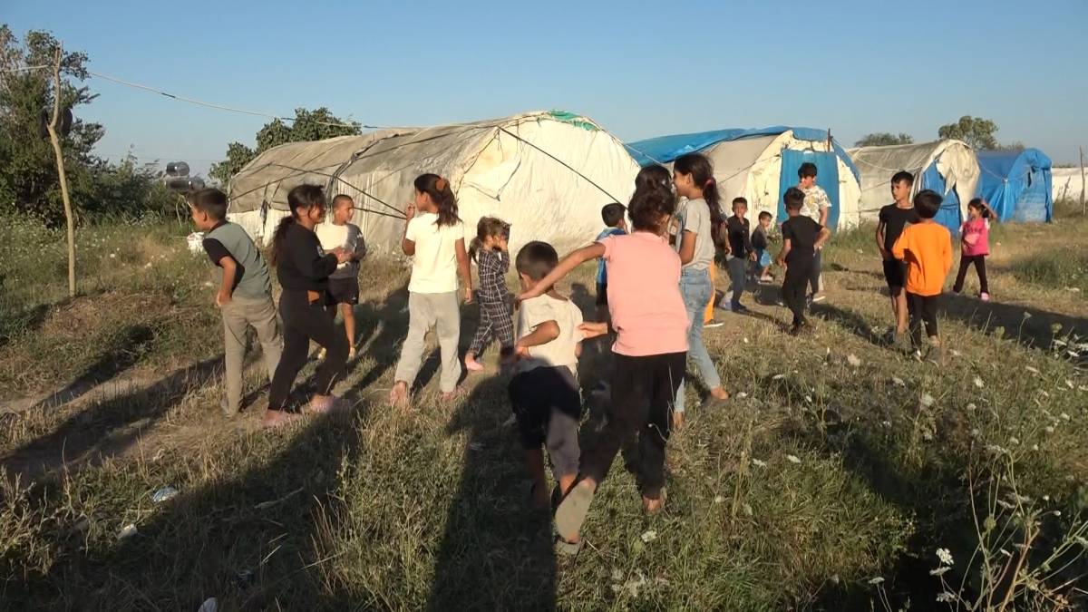Urfalı mevsimlik işçiler çadırlarda yaşam mücadelesi veriyor!