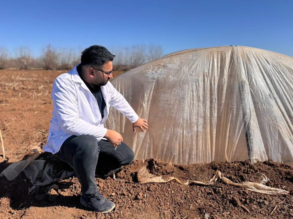 Urfa’da Çiftçilere Don Uyarısı!