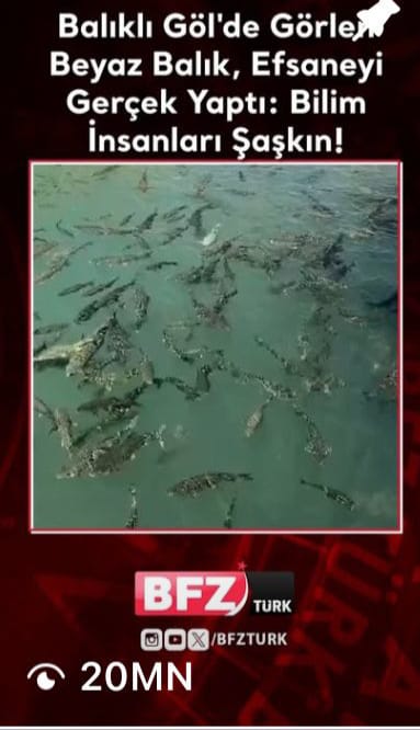 Balıklıgöl'deki Beyaz Balık Videosu 20 Milyon İzlendi!